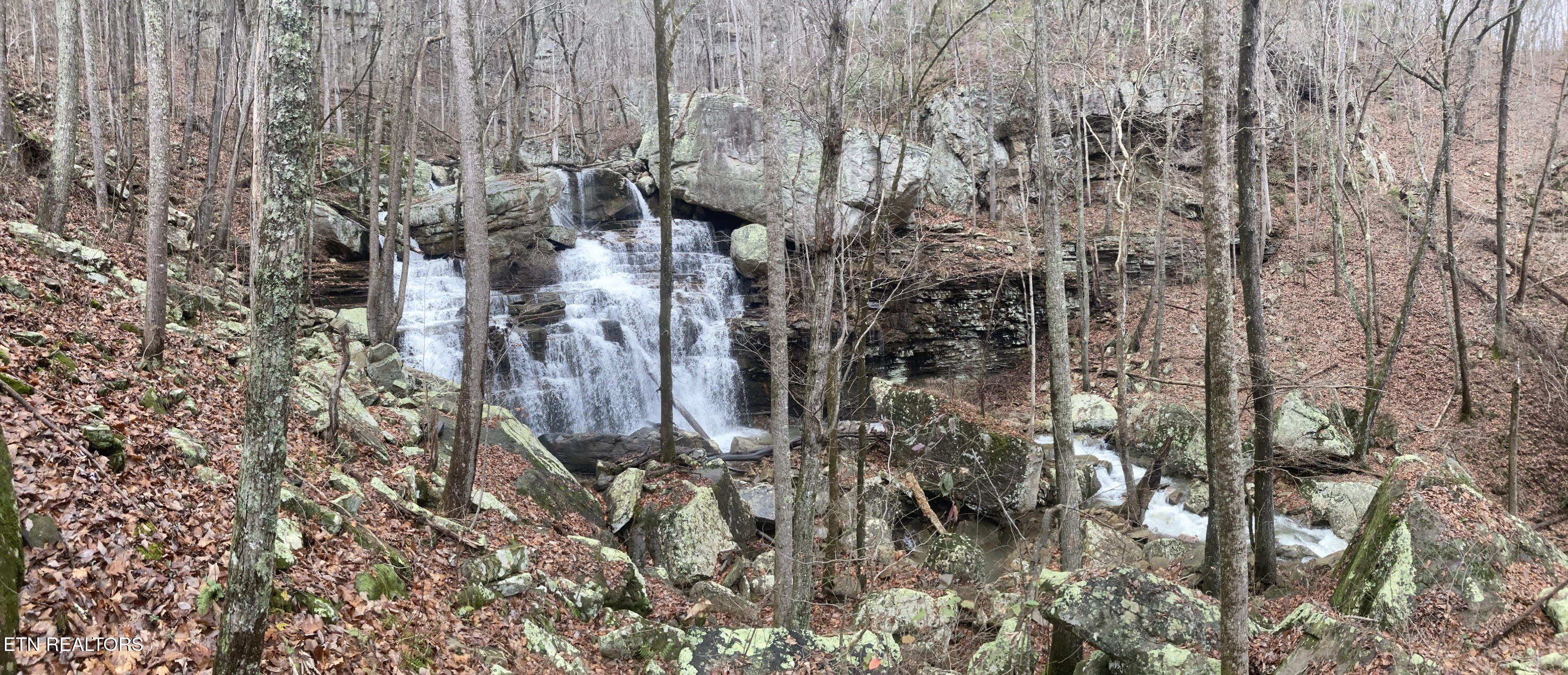 Pikeville, Tennessee, 37367, United States, ,Land,For Sale,2005286