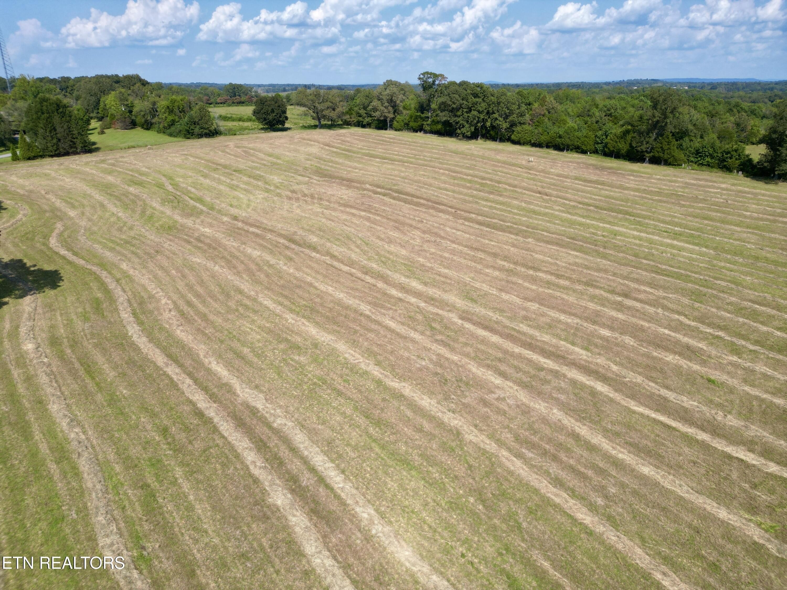 McMinnville, Tennessee, 37110, United States, 3 Bedrooms Bedrooms, ,1 BathroomBathrooms,Residential,For Sale,1976932