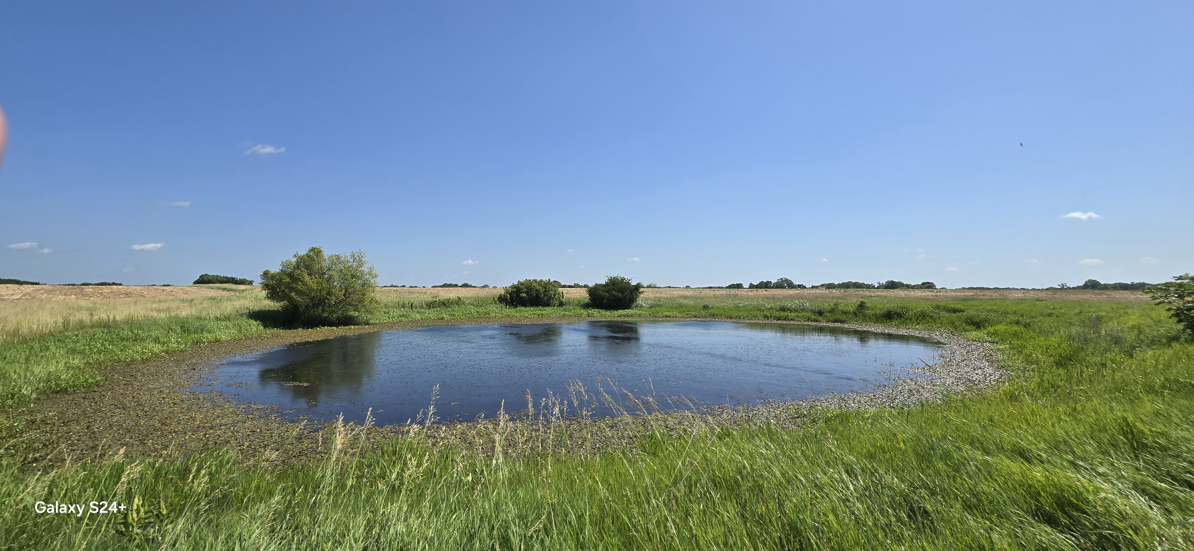Osawatomie, Kansas, 66064, United States, 3 Bedrooms Bedrooms, ,2 BathroomsBathrooms,Residential,For Sale,1920353
