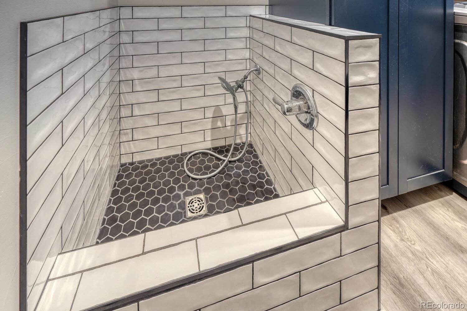 Buena Vista, Colorado, 81211, United States, 4 Bedrooms Bedrooms, ,3 BathroomsBathrooms,Residential,For Sale,1996904