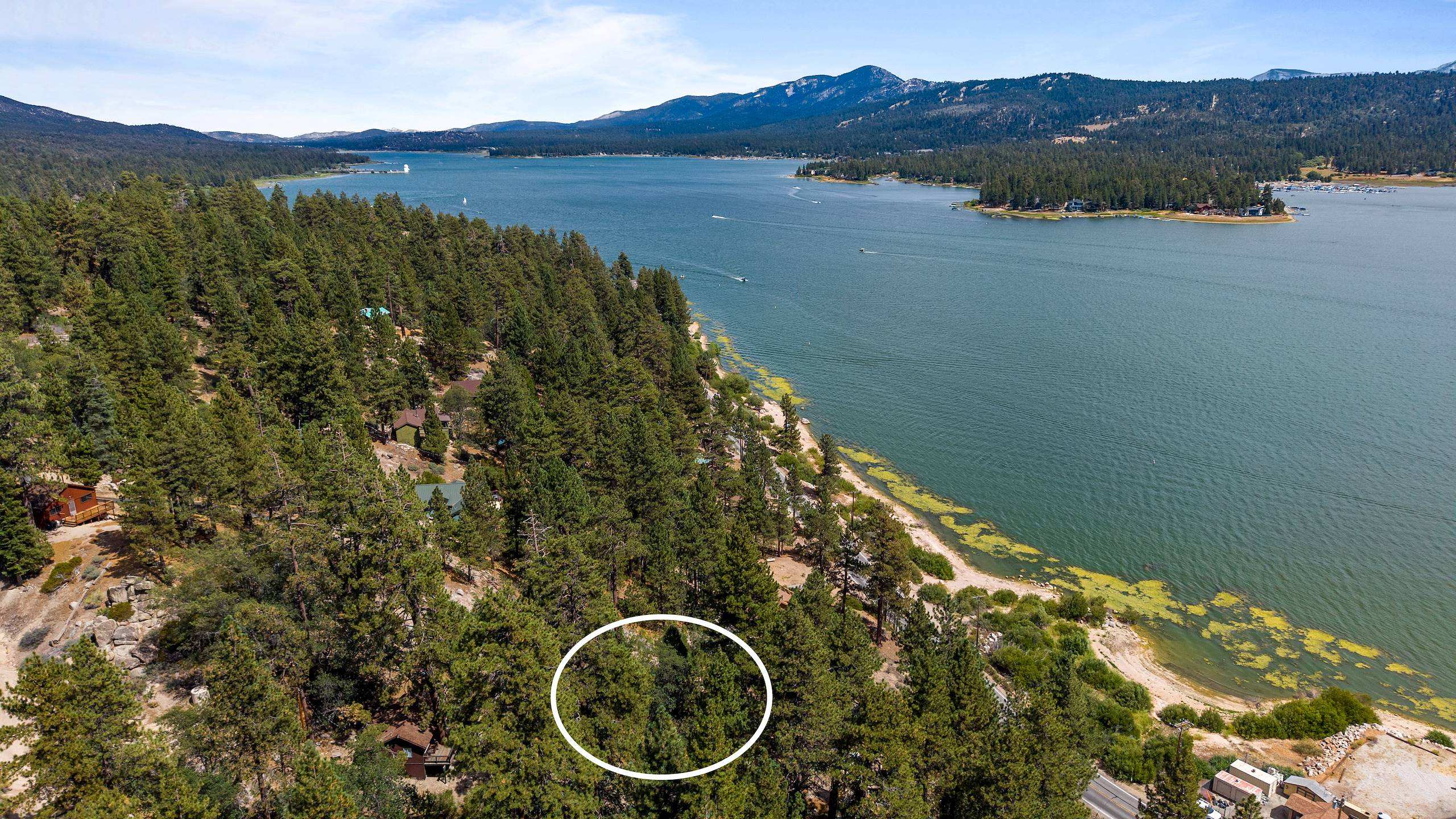  North Shore Drive, Fawnskin, CA 92333 - 物件實景
