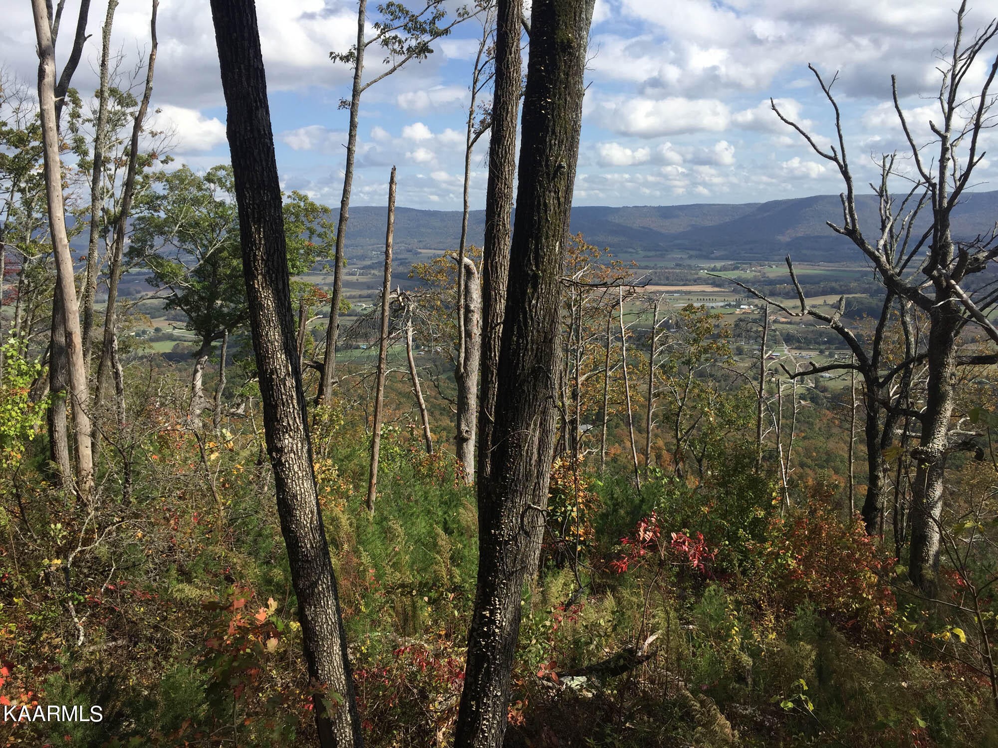 Pikeville, Tennessee, 37367, United States, ,Residential,For Sale,1943070