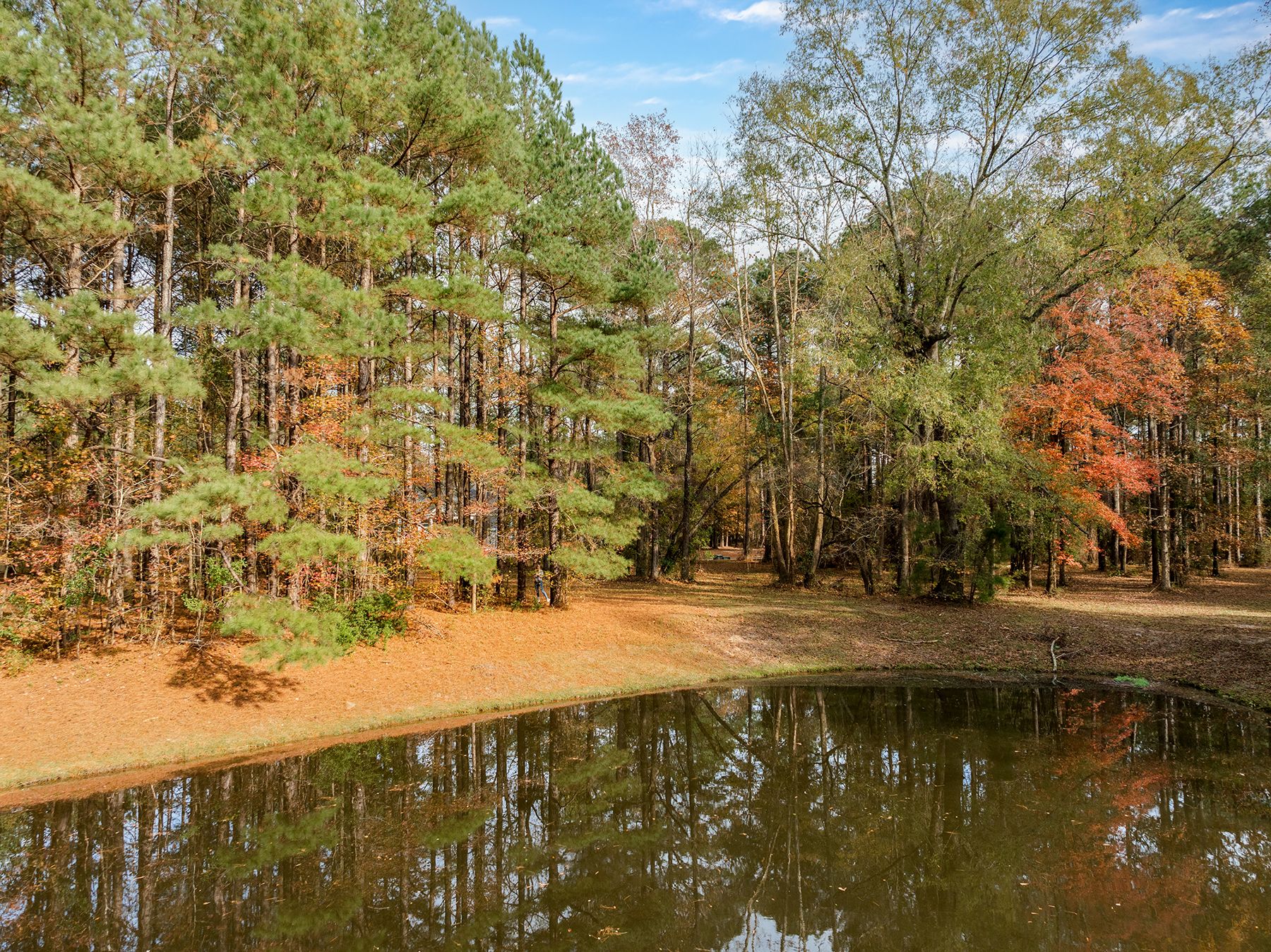  111 Loblolly Court, Wallace, NC 28466 - 物件實景