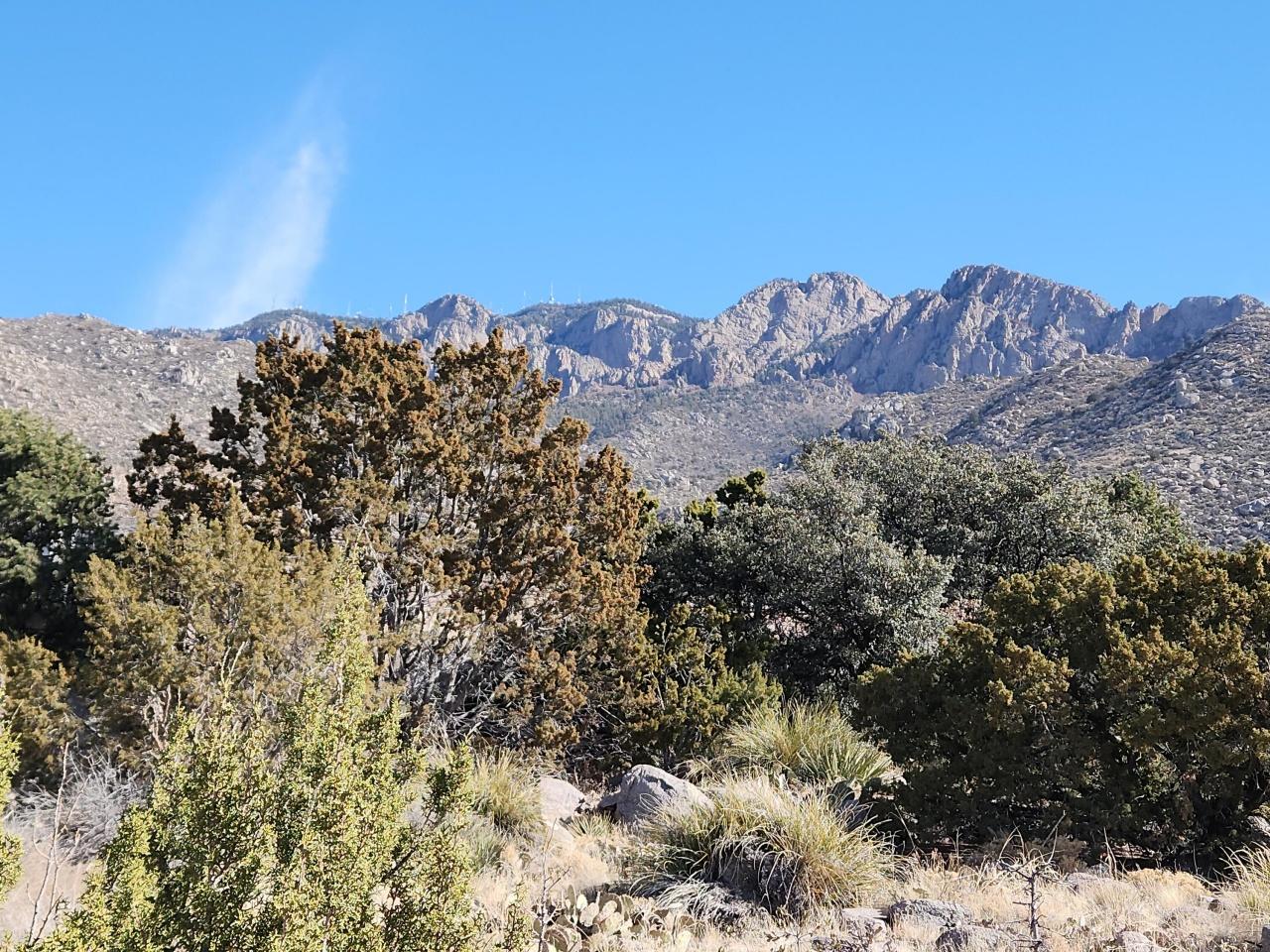 Albuquerque, New Mexico, 87122, United States, ,Land,For Sale,1700577