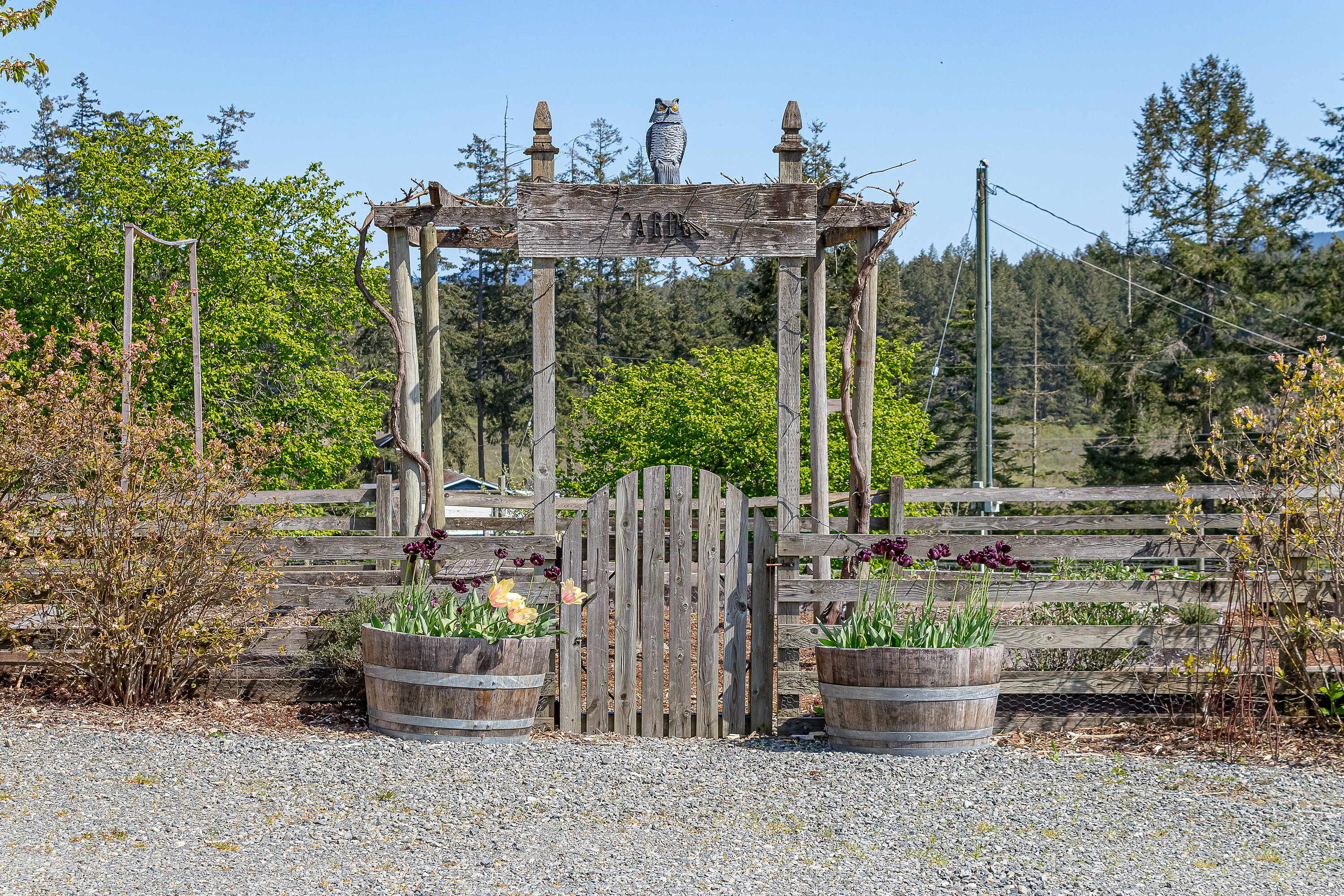  Welcome to Emandare Vineyard - 物件實景