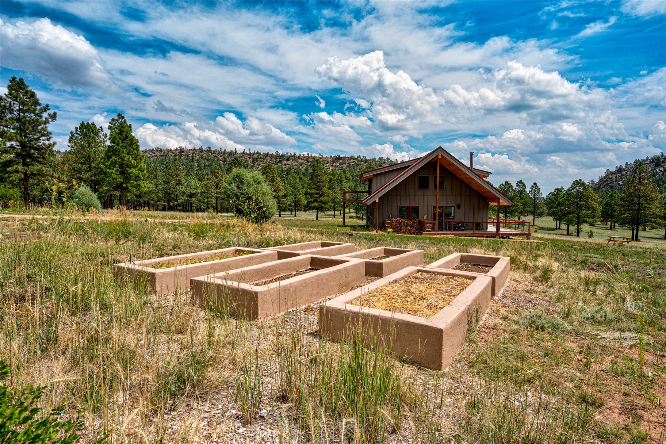  115 Blue Deer Ranch Road, B-109 - 物件實景