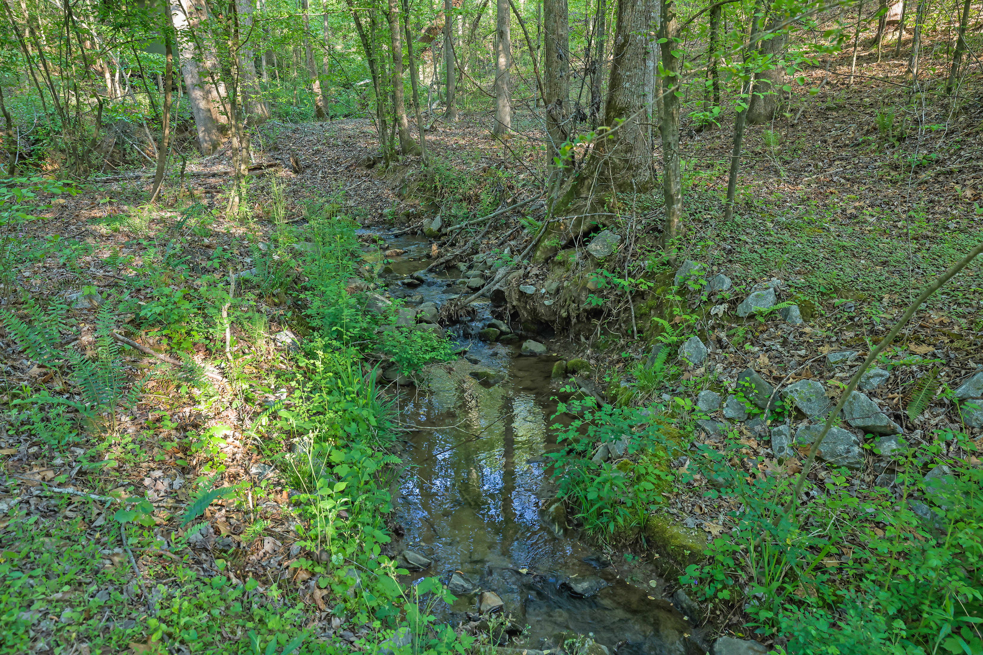  Classic Beauty in Amenity-rich Parkstone Community - 物件實景