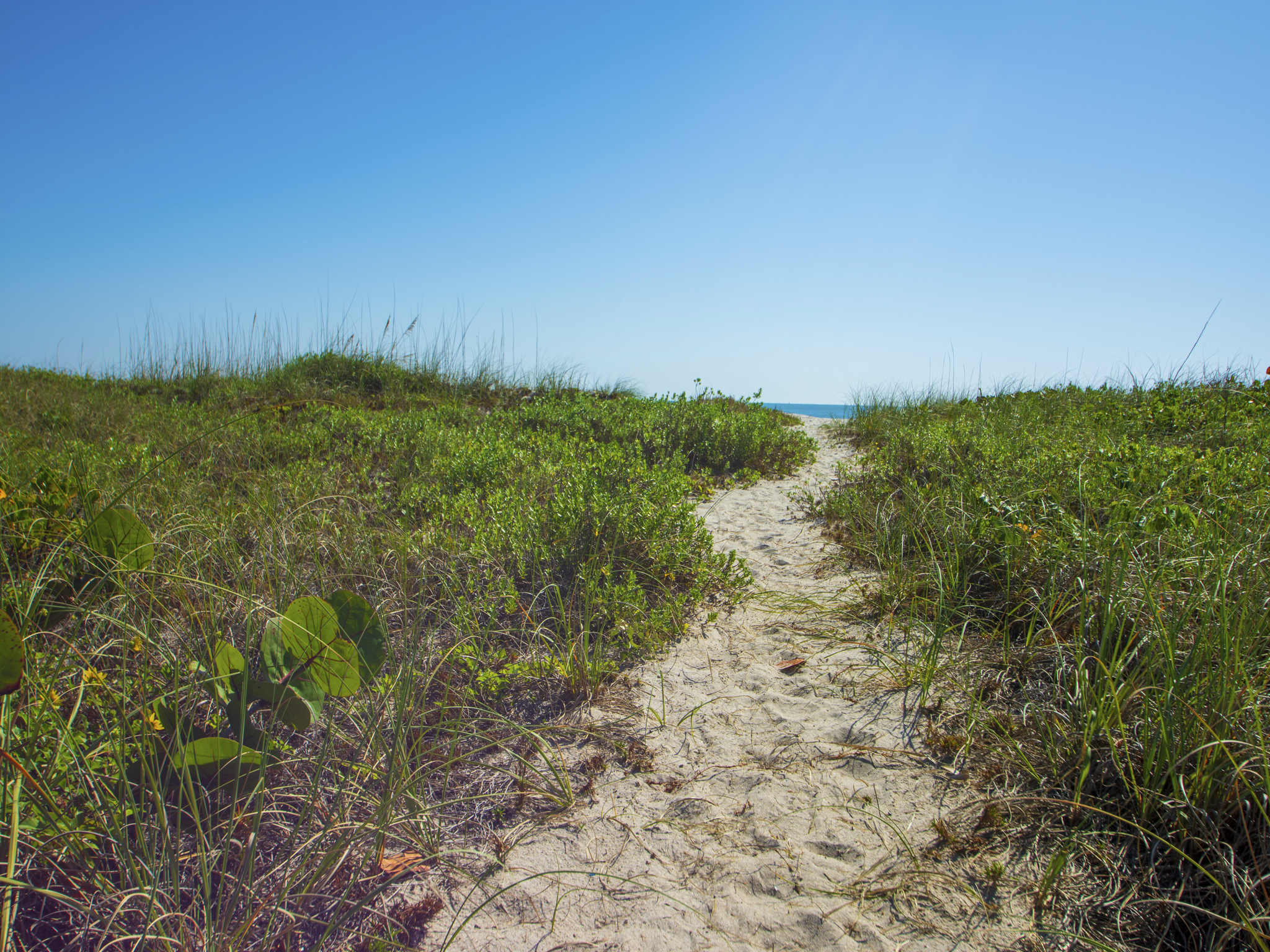  5159 N Highway A1a Highway, Hutchinson Island, FL, 34949 - 物件實景