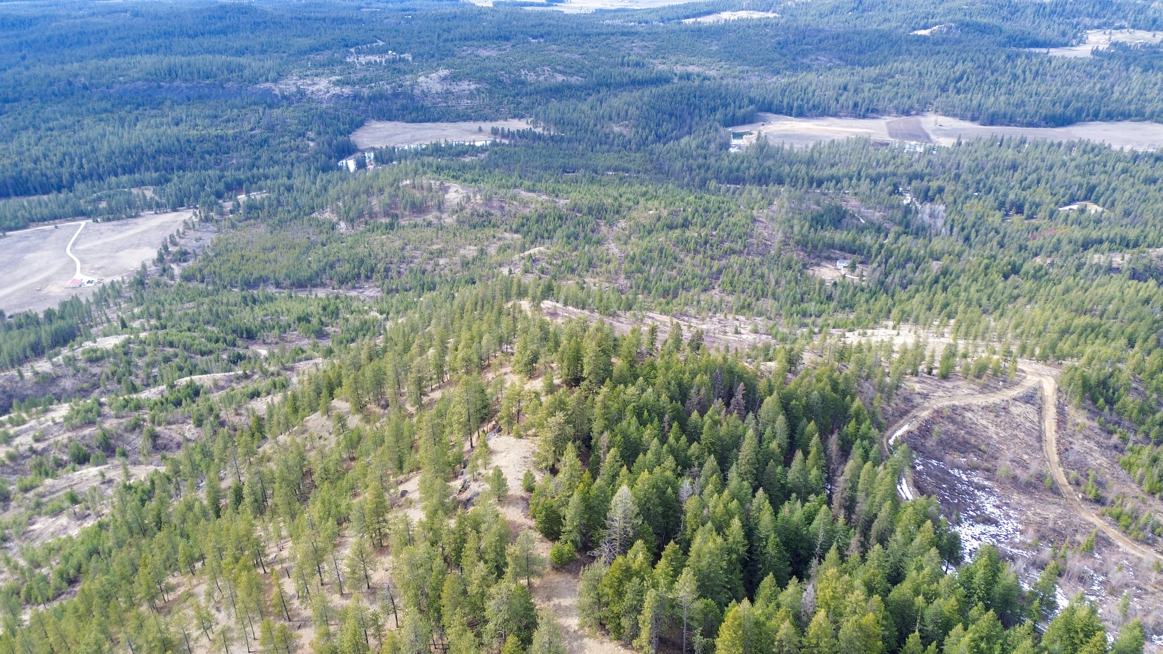 Valley, Washington, 99181, United States, ,Land,For Sale,1979391