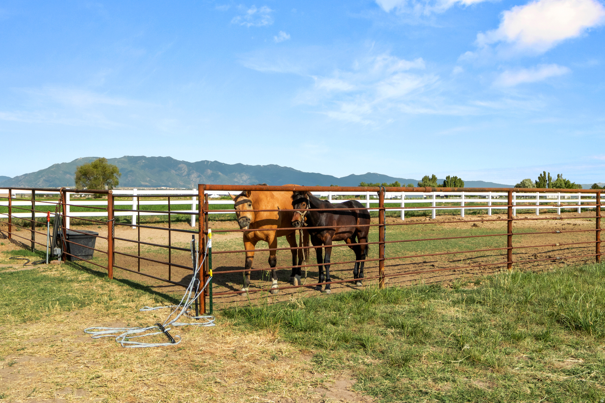 Hooper, Utah, 84315, United States, 3 Bedrooms Bedrooms, ,2 BathroomsBathrooms,Residential,For Sale,1986261