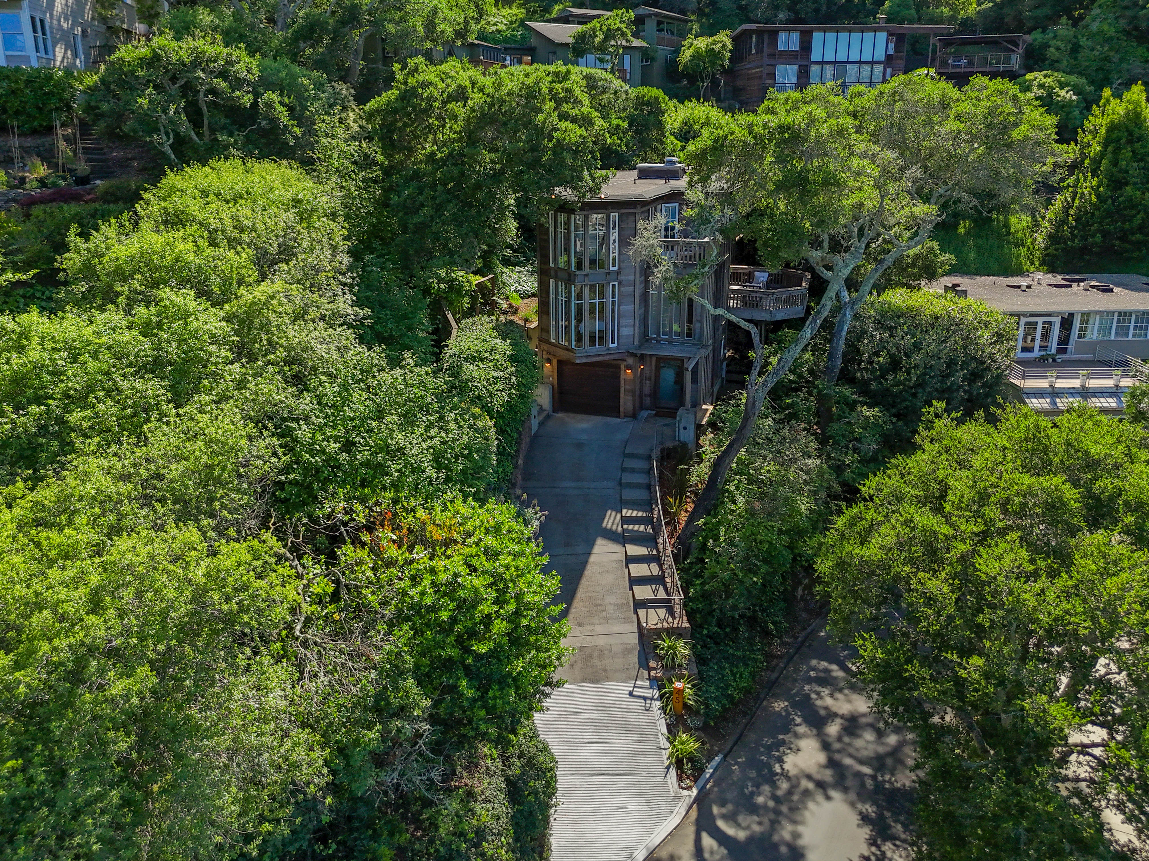  Fully Remodeled Mid Century Home in Belvedere - 物件實景