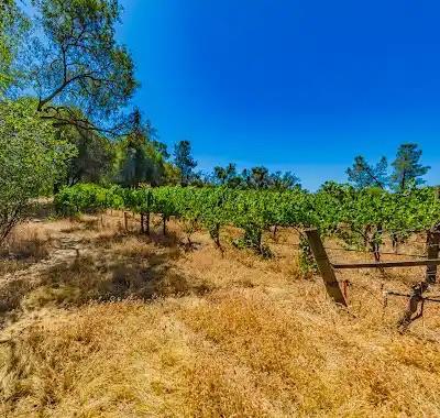 O Neals, California, 93645, United States, 3 Bedrooms Bedrooms, ,2 BathroomsBathrooms,Residential,For Sale,1981771