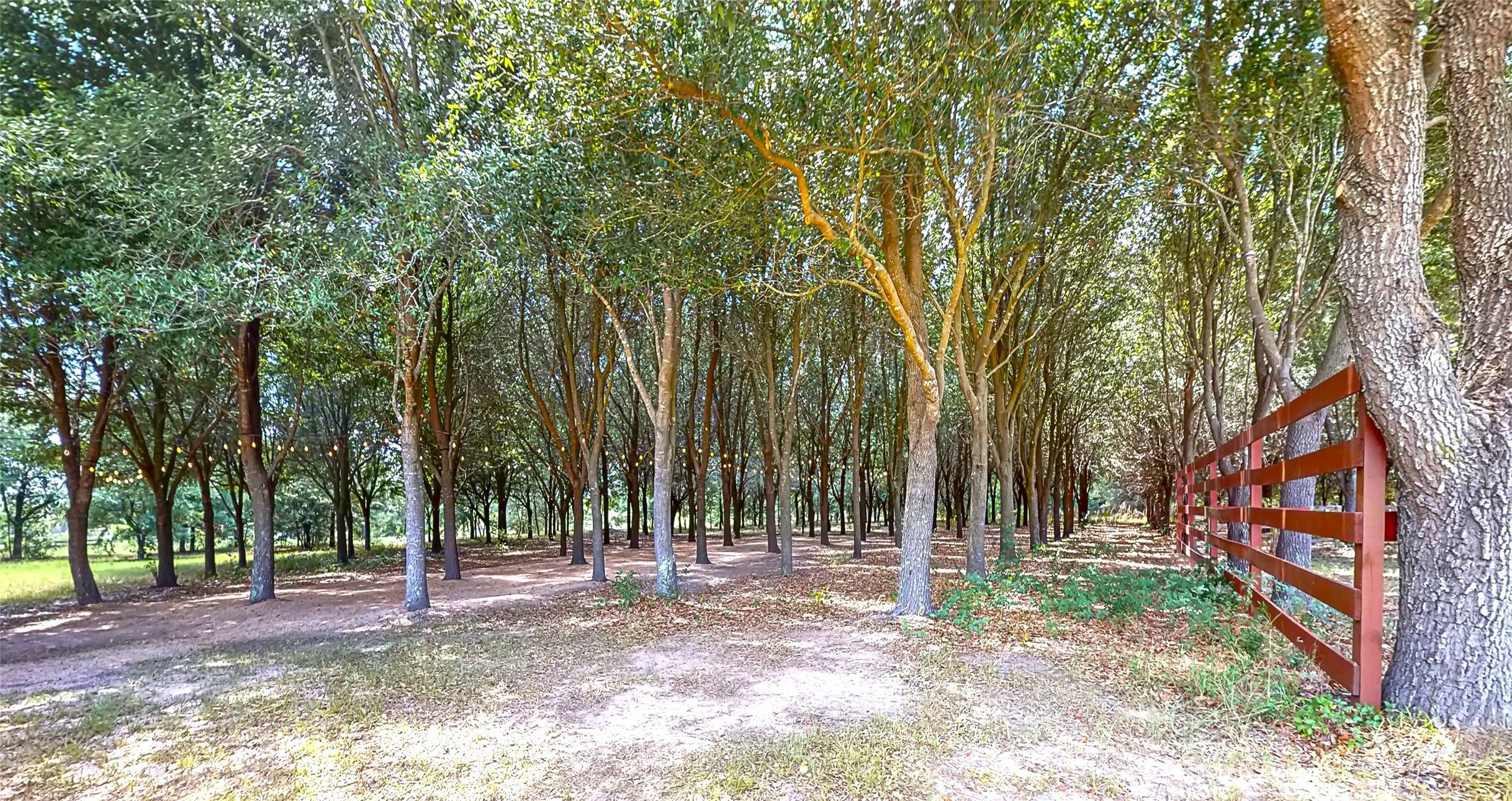 Cypress, Texas, 77429, United States, ,Residential,For Sale,1831895