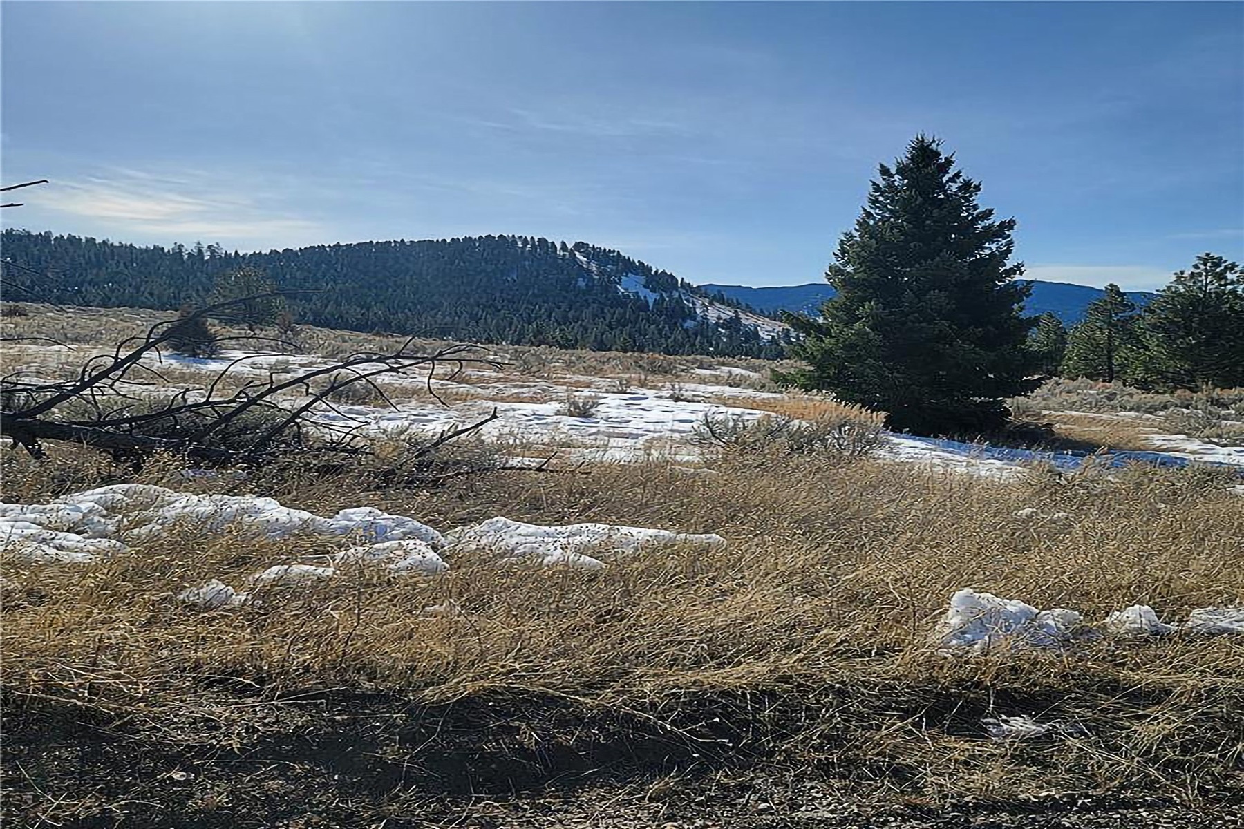  Lot A & B Sapphire Ranch Trail - 物件實景