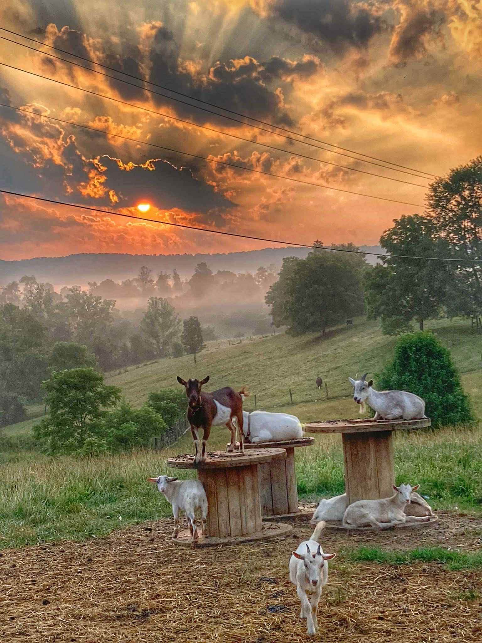 Hillsboro, Kentucky, 41049, United States, 3 Bedrooms Bedrooms, ,3 BathroomsBathrooms,Residential,For Sale,1984101