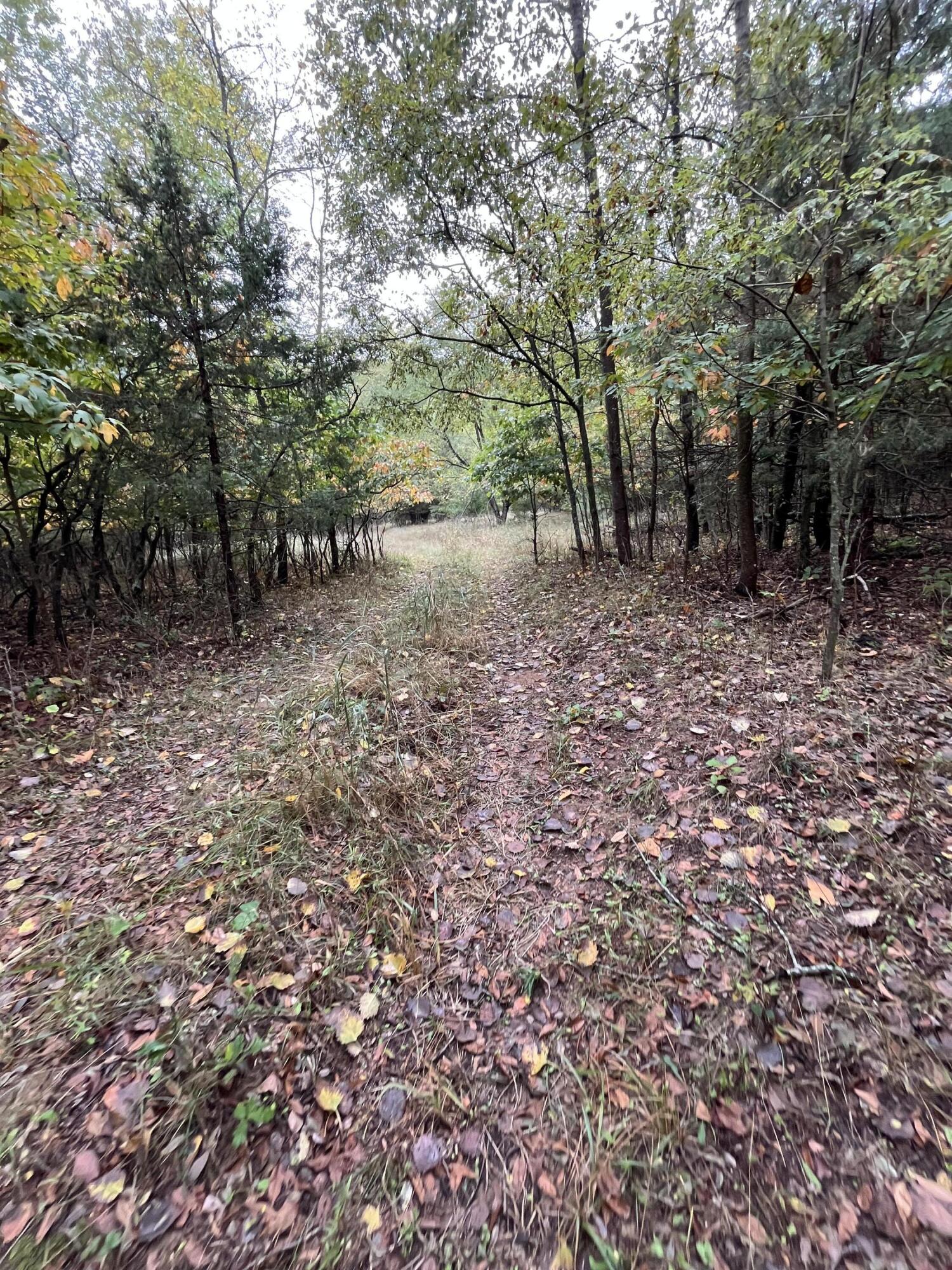 Holland, Michigan, 49423, United States, ,Land,For Sale,1984498