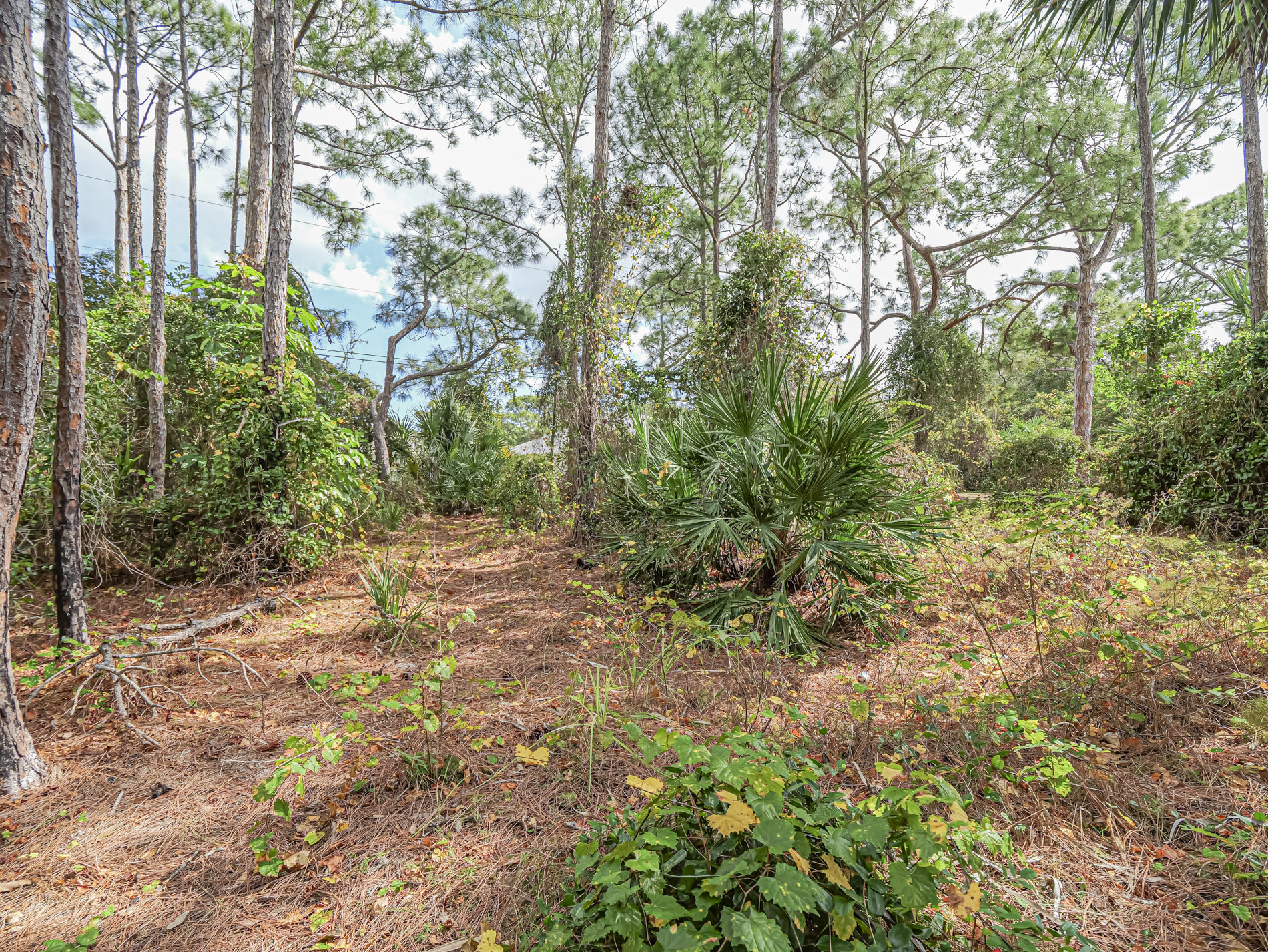  110 Marsh Street, Sebastian, FL, 32958 - 物件實景