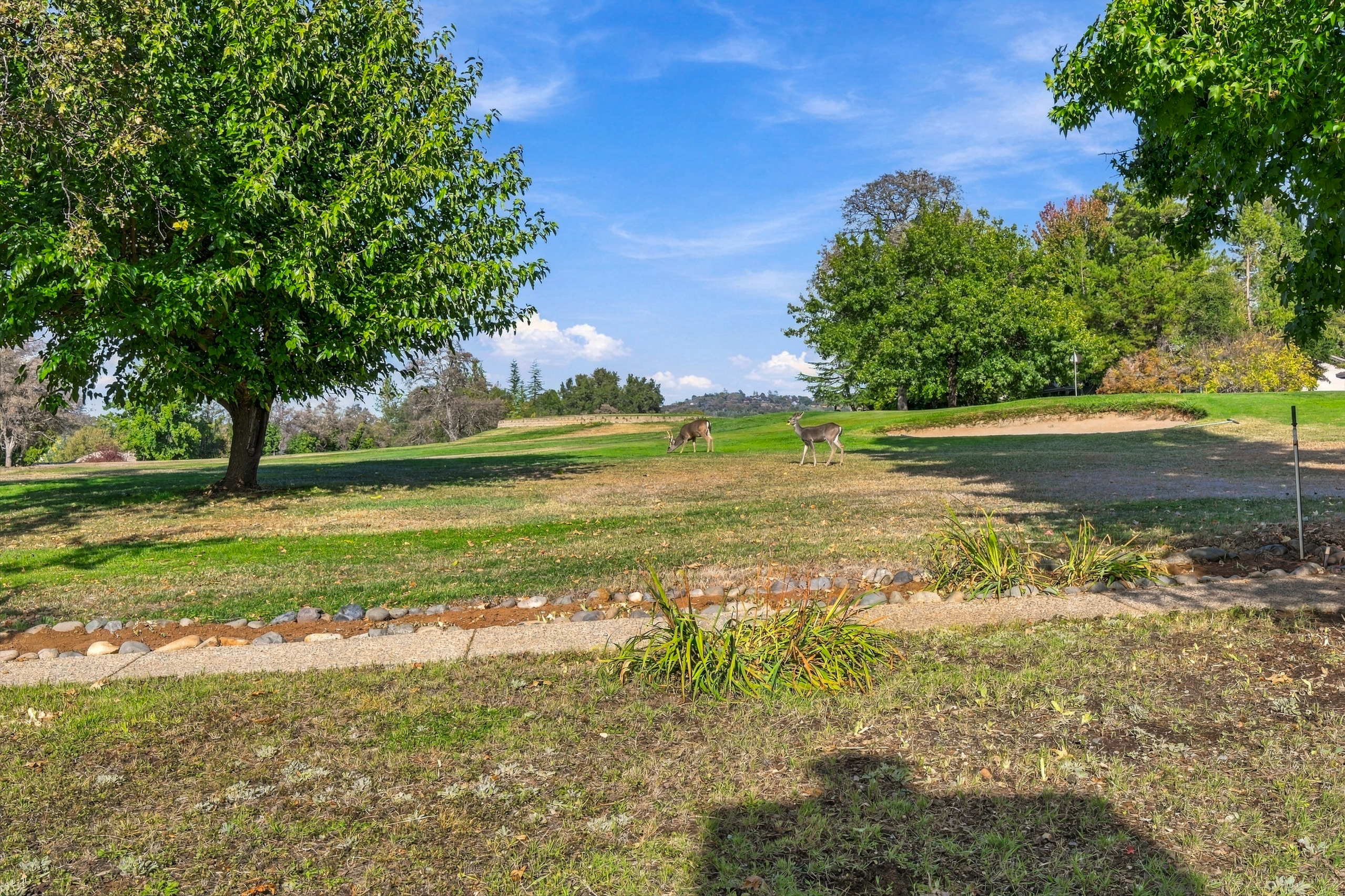  24718 Oro Valley Road, Auburn, CA 95602 - 物件實景