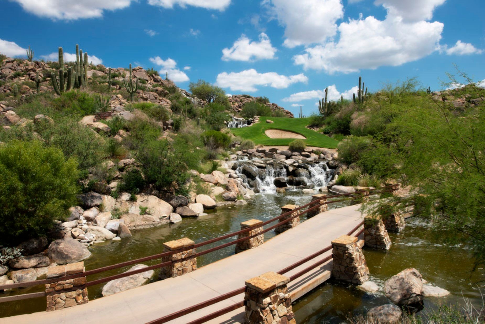  1178 Tortolita Mountain Circle 196¦Oro Valley, AZ - 物件實景