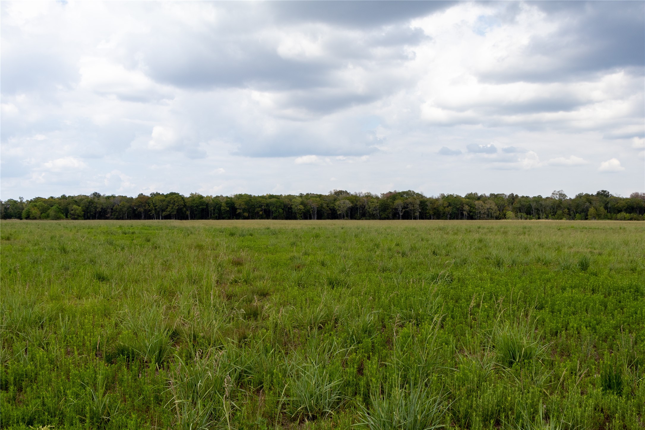 Hardin, Texas, 77564, United States, ,Land,For Sale,1934255