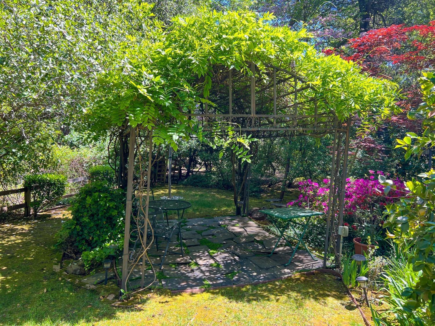 Cameron Park, California, 95682, United States, 4 Bedrooms Bedrooms, ,3 BathroomsBathrooms,Residential,For Sale,1923512