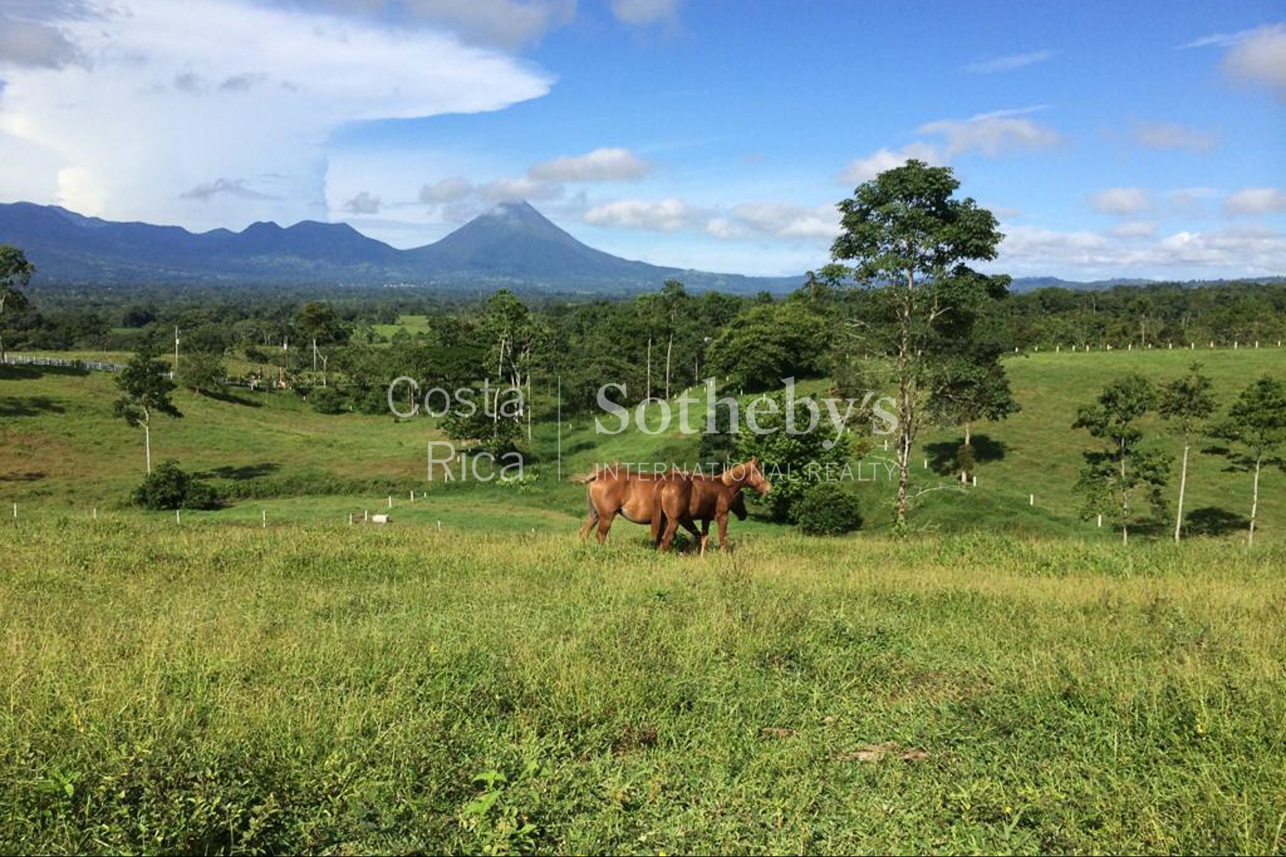  Hacienda la Fortuna Verde - 物件實景