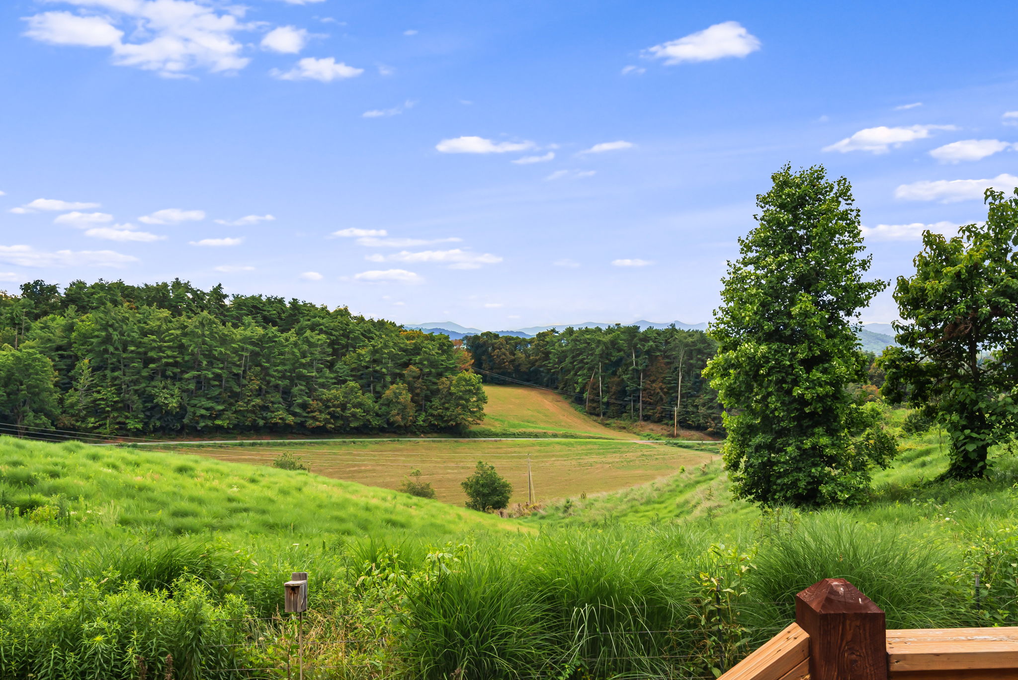 Mars Hill, North Carolina, 28754, United States, 3 Bedrooms Bedrooms, ,3 BathroomsBathrooms,Residential,For Sale,1923227