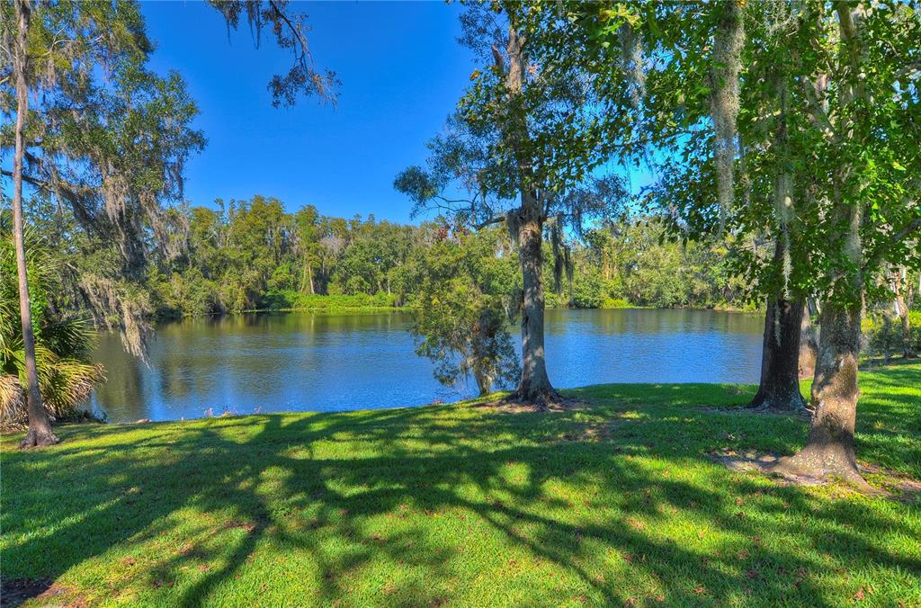 Tampa, Florida, 33625, United States, 3 Bedrooms Bedrooms, ,2 BathroomsBathrooms,Residential,For Sale,1989195