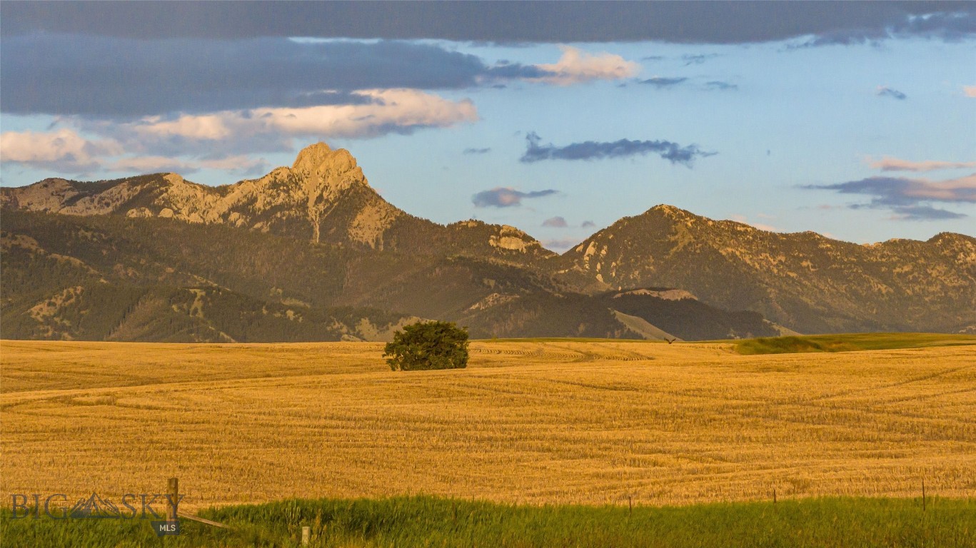 Lot 2 Reynolds Creek Road, Belgrade, Montana, 59714, United States, ,Land,For Sale,Lot 2 Reynolds Creek Road,1623235