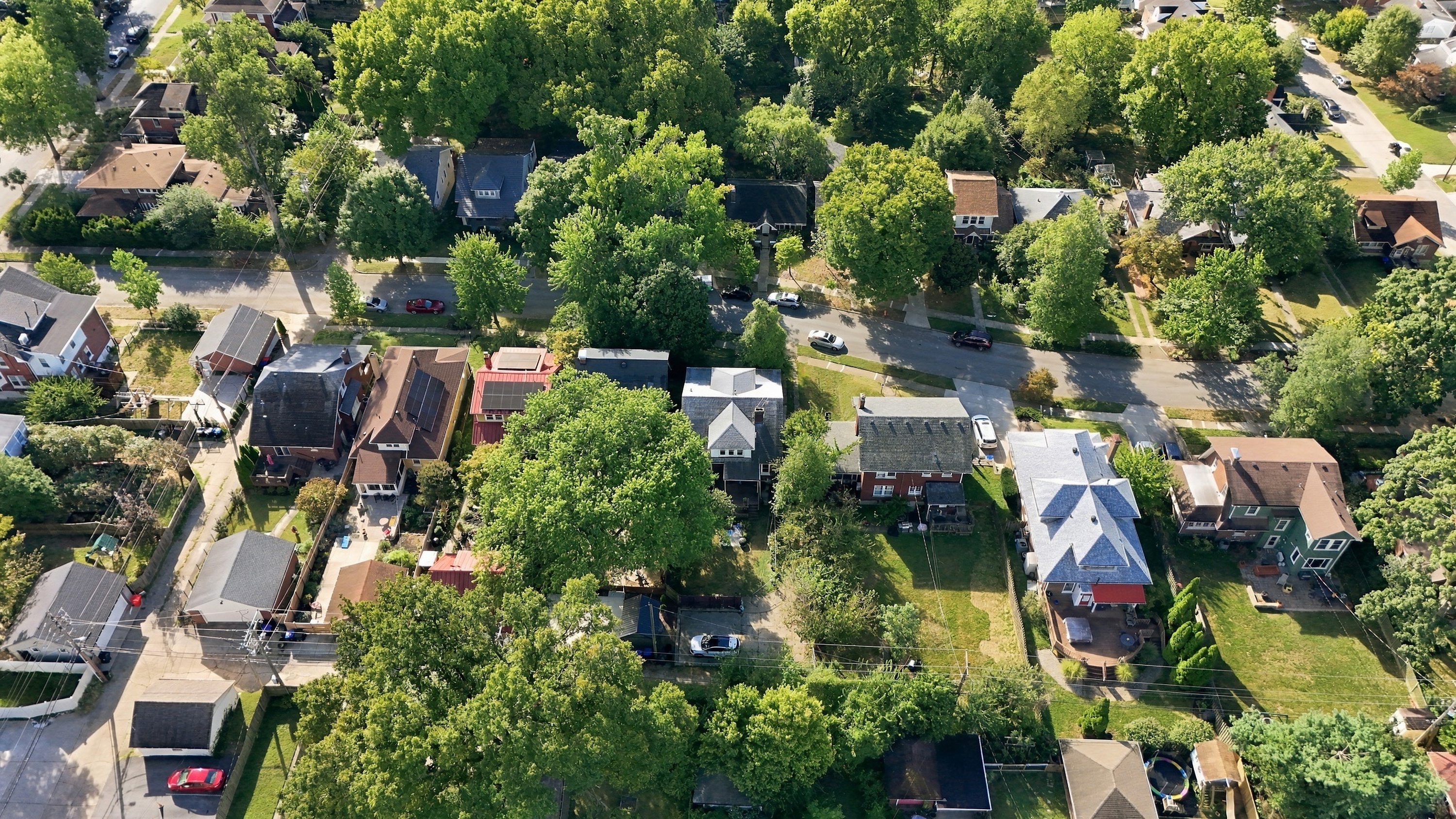  1855 Harvard Drive, Louisville, KY 40205 - 物件實景