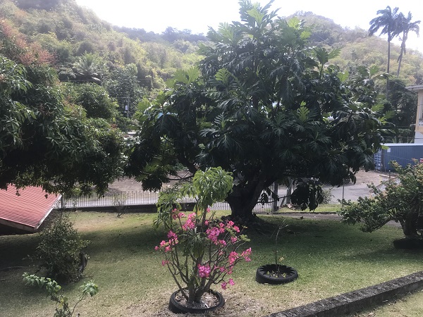 Nesita, St George, GD, 4 Bedrooms Bedrooms, ,4 BathroomsBathrooms,Residential,For Sale,Nesita,1460353