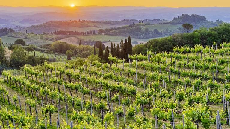 Montalcino, Siena, 53024, IT, ,Residential,For Sale,1991815