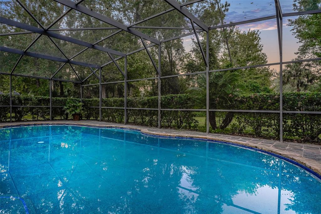 Longwood, Florida, 32779, United States, 4 Bedrooms Bedrooms, ,4 BathroomsBathrooms,Residential,For Sale,2002906