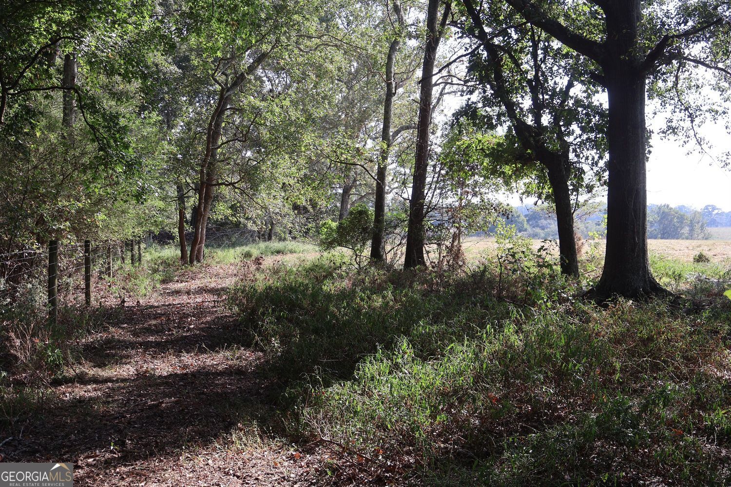 The Rock, Georgia, 30285, United States, ,Land,For Sale,1963371