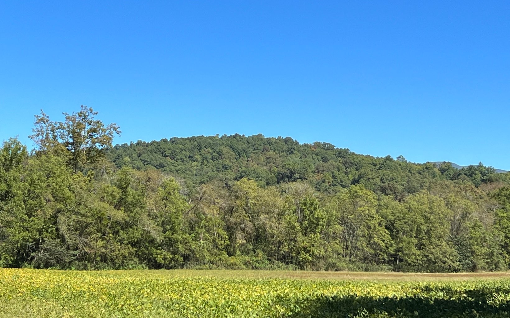 Hayesville, North Carolina, 28904, United States, ,Residential,For Sale,1943293