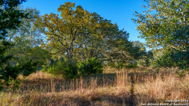 Yoakum, Texas, 77995, United States, ,Land,For Sale,1988104