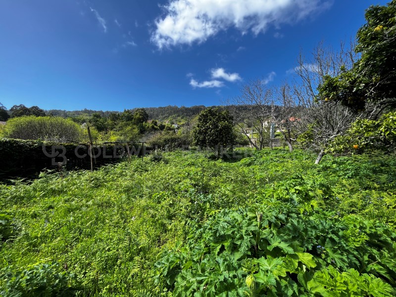 Pontevedra, Moa?a, Moa?a (San Marti?o P. E Virxe d, Moaña, Galicia, ES, 7 Bedrooms Bedrooms, ,2 BathroomsBathrooms,Residential,For Sale,Pontevedra, Moa?a, Moa?a (San Marti?o P. E Virxe d,1623275