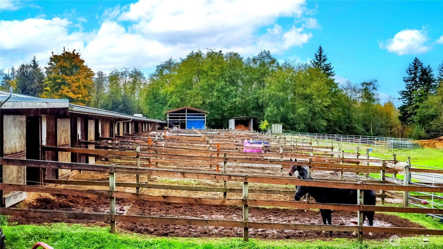 Port Orchard, Washington, 98366, United States, ,Land,For Sale,1985681
