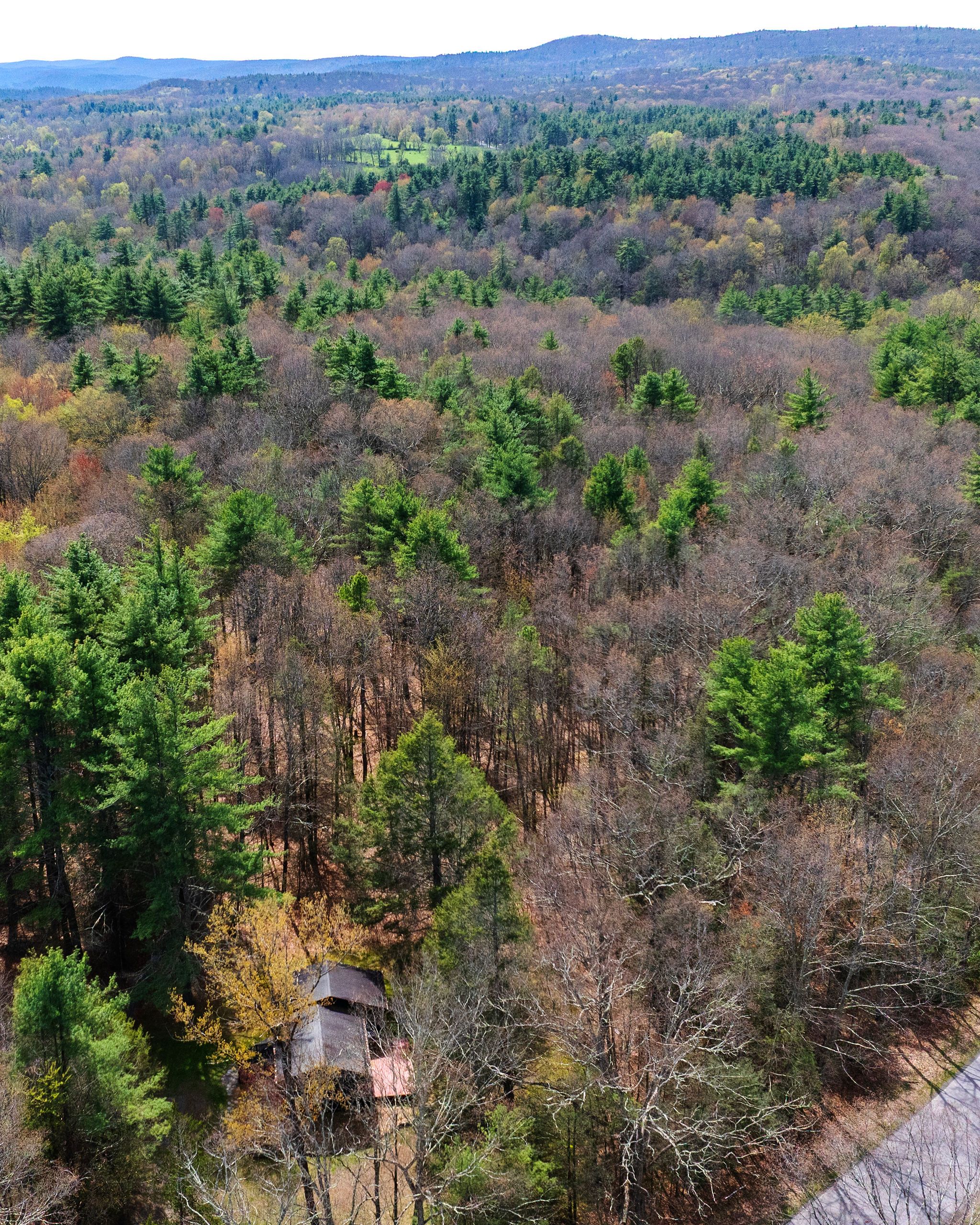  25 Upper Cherrytown Road, Kerhonkson, NY, 12446 - 物件實景