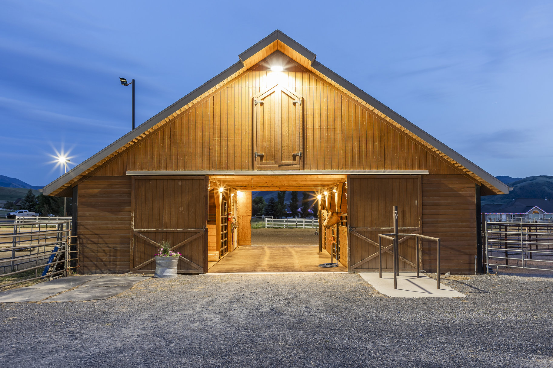  Horse Lover