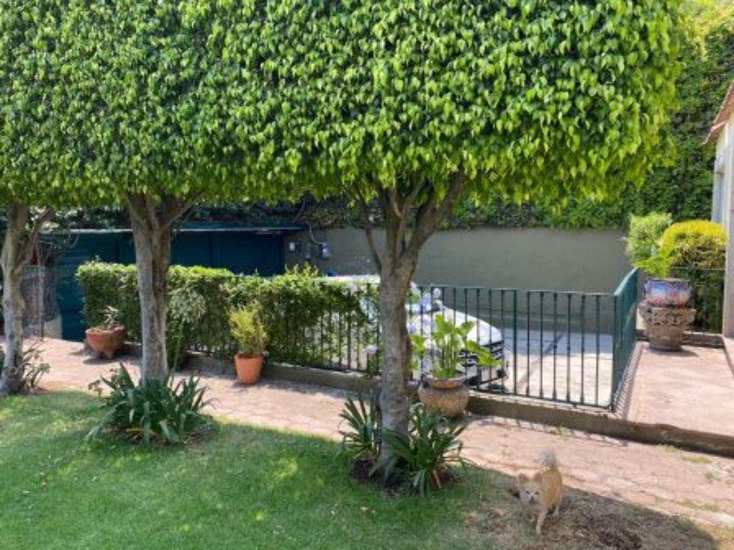 Medanos, Álvaro Obregón, Ciudad de México, 01710, Mexico, 3 Bedrooms Bedrooms, ,4 BathroomsBathrooms,Residential,For Sale,Medanos,1451140