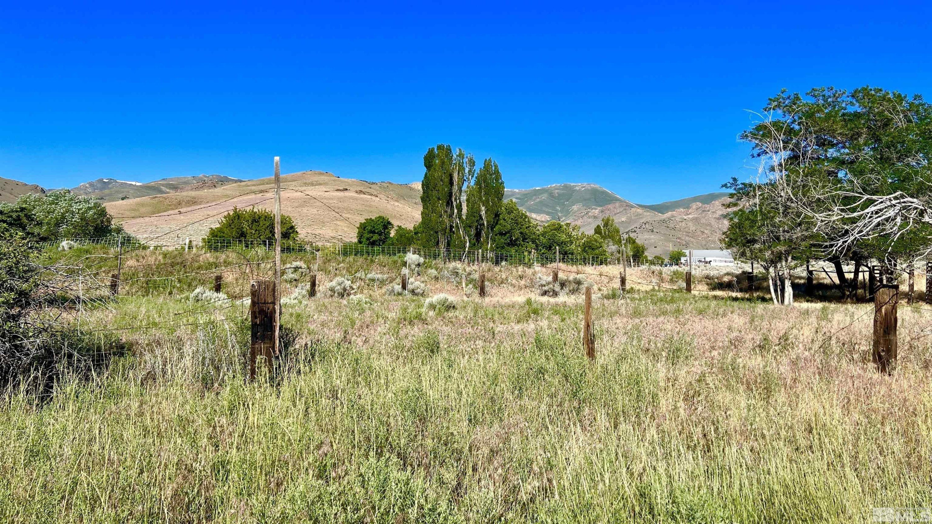 Unionville, Nevada, 89418, United States, 4 Bedrooms Bedrooms, ,2 BathroomsBathrooms,Residential,For Sale,1975232