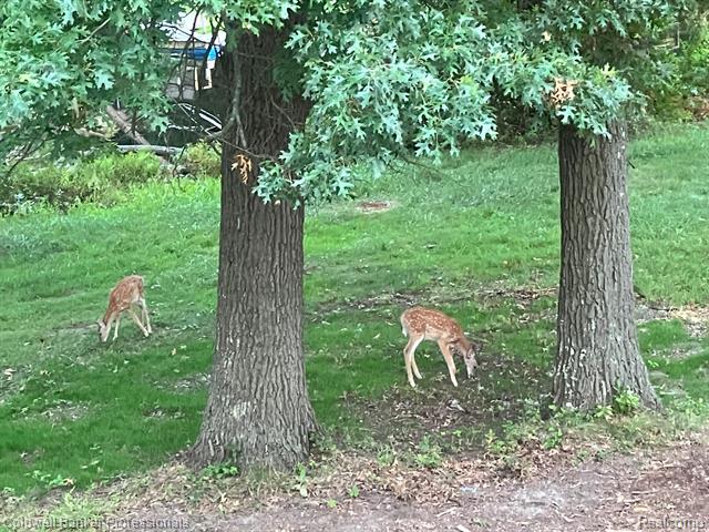 Oakland, Michigan, 48363, United States, 4 Bedrooms Bedrooms, ,2 BathroomsBathrooms,Residential,For Sale,1806159