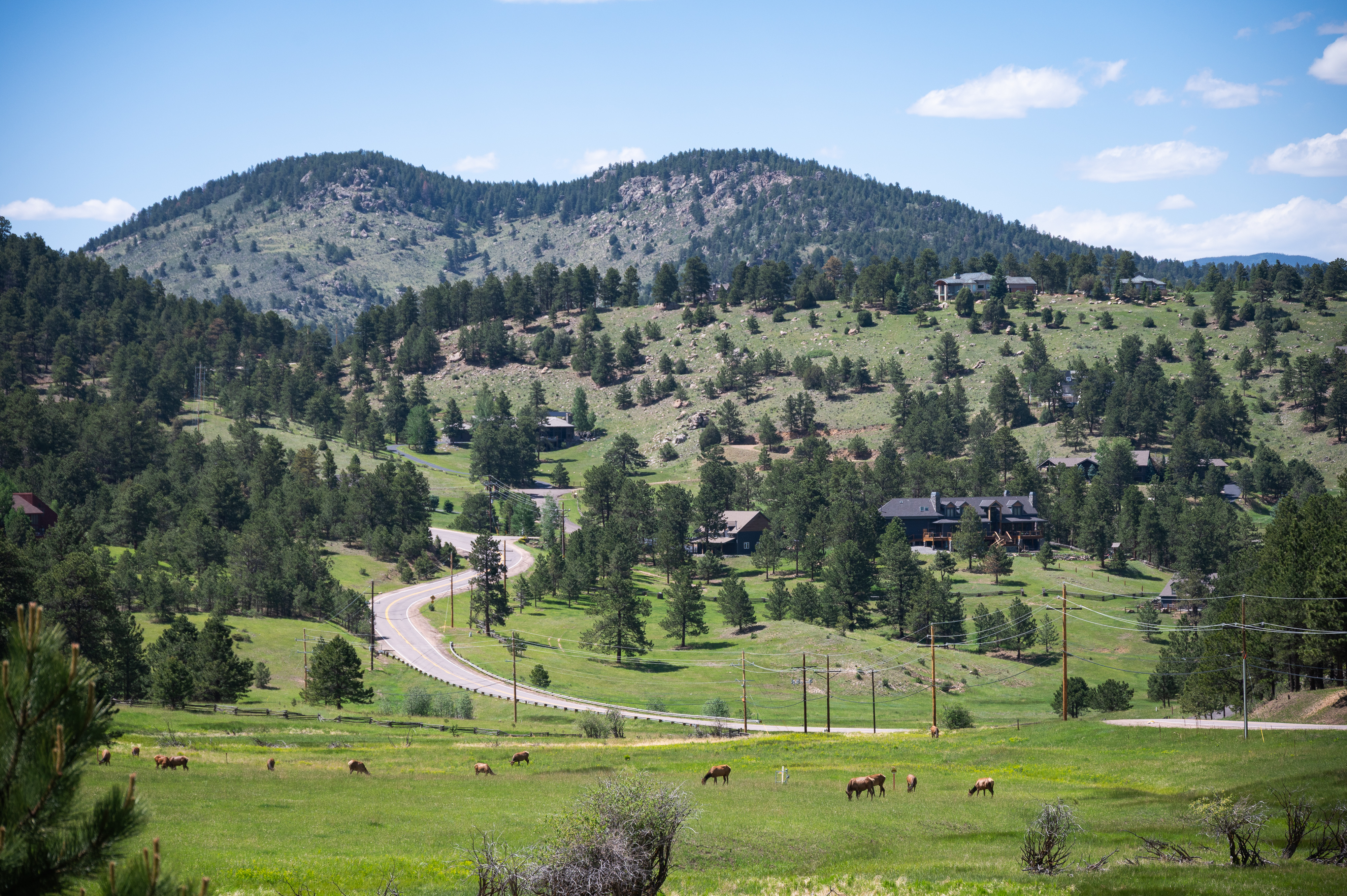  32843 Deep Forest Road, Evergreen, CO, 80439 - 物件實景