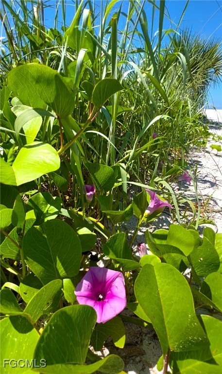 Fort Myers Beach, Florida, 33931, United States, 1 Bedroom Bedrooms, ,1 BathroomBathrooms,Residential,For Sale,1979475