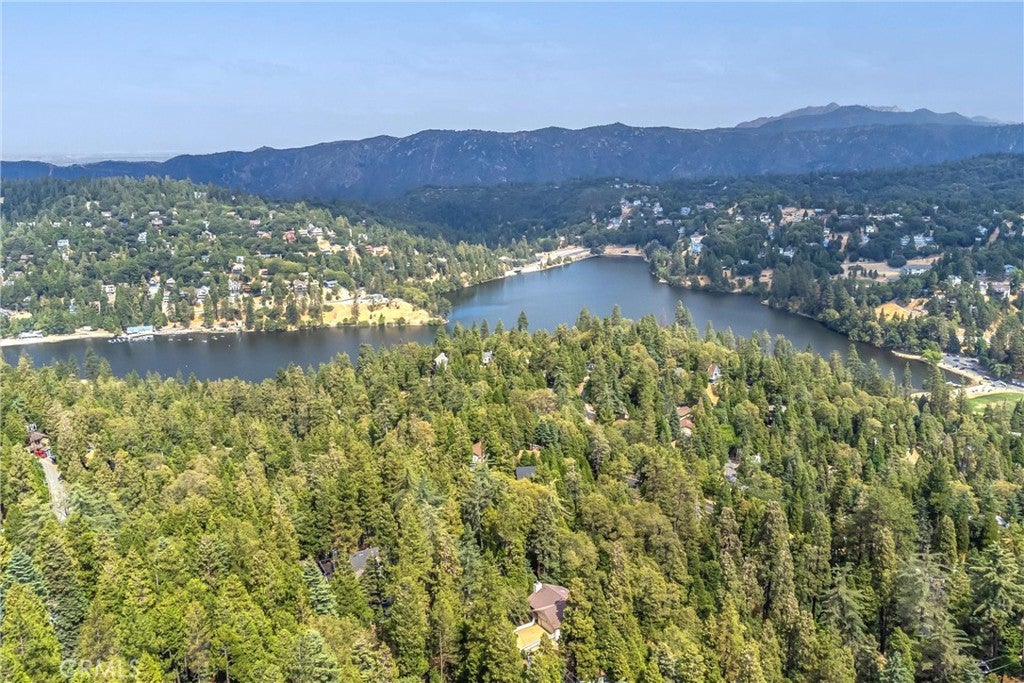 Crestline, California, 92325, United States, 3 Bedrooms Bedrooms, ,4 BathroomsBathrooms,Residential,For Sale,1836283