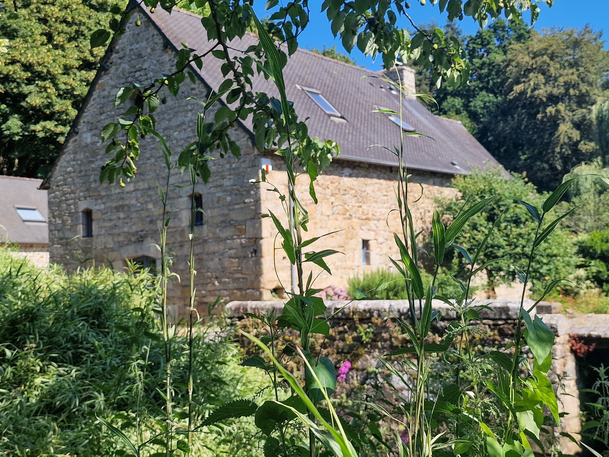  Guingamp authentic mill with 2 outbuildings in an idyllic setting with city cen… - 物件實景