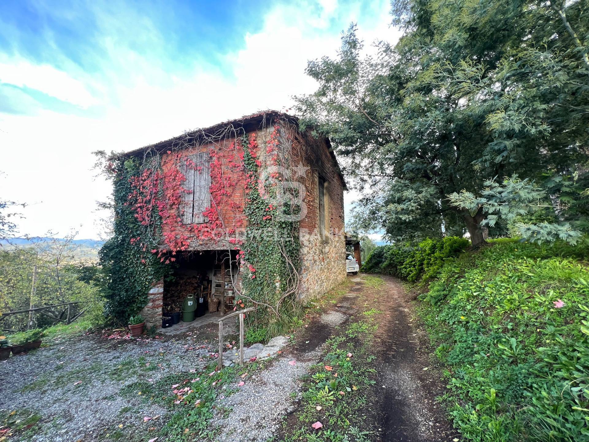 VIA DI VICOPELAGO, Lucca, Lucca, 55100, IT, 4 Bedrooms Bedrooms, ,2 BathroomsBathrooms,Residential,For Sale,VIA DI VICOPELAGO,1628476