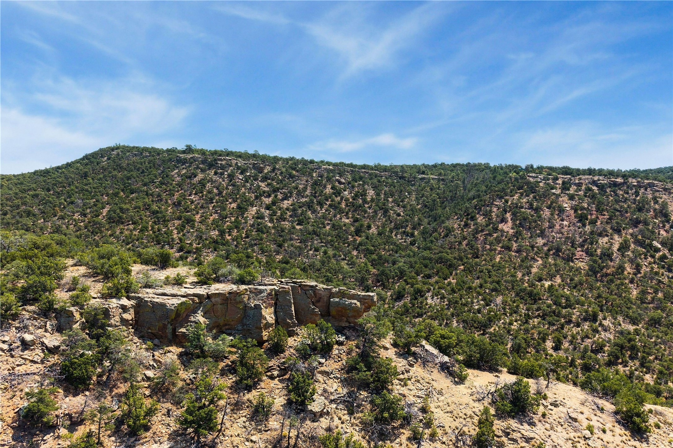  201-B Soaring Hawk Trail - 物件實景