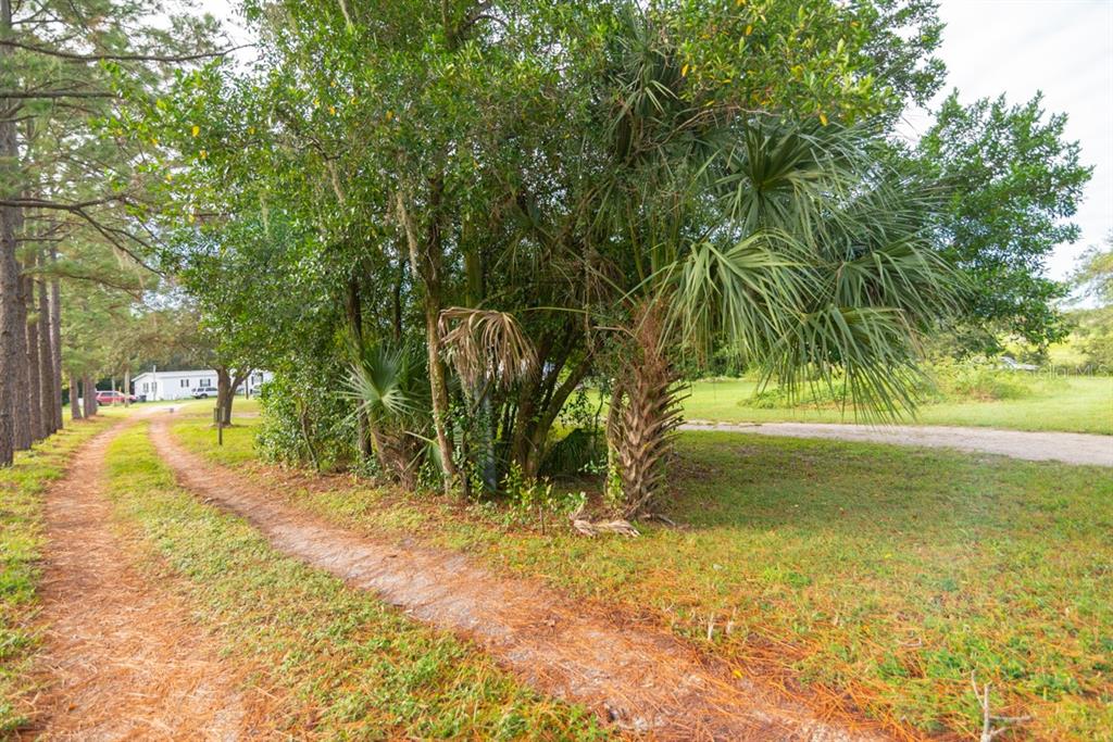 9358 Harney Road, Thonotosassa, Florida, 33592, United States, ,Land,For Sale,9358 Harney Road,1200693